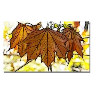 Maple Leaves by Kathie McCurdy Painting Print on Canvas
