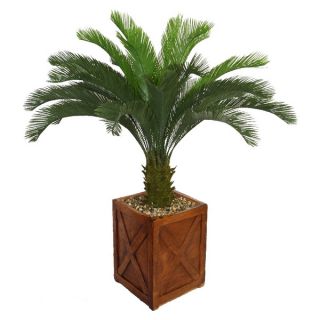 Laura Ashley 57 inch Tall Cycas Palm Tree in Fiberstone Planter
