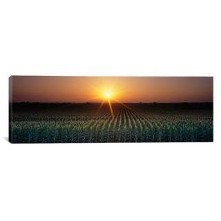 Panoramic Sunrise, Crops, Farm, Sacramento, California Photographic