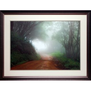 Road to Nowhere by Mike Jones Framed Photographic Print