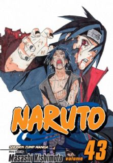 Naruto 43 The Man With the Truth (Paperback)