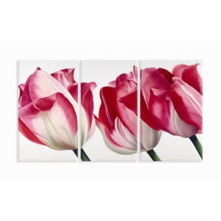 Stupell Industries Home Décor Fresh Tulips Triptych 3 Piece Painting
