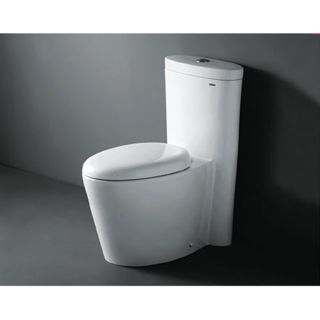 Royal CO 1009 Monterey Dual Flush Toilet   11091018  