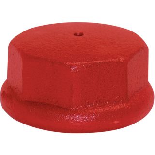 Water Source Drive Cap — 2in.  Well Points