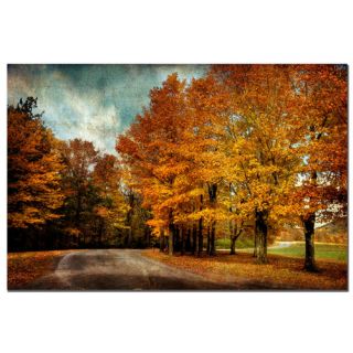 Trademark Art Autumn Scene by Lois Bryan Photographic Print on Canvas