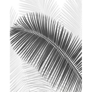 Black and White Palm Frond by Scott J. Menaul Graphic Art on Wrapped