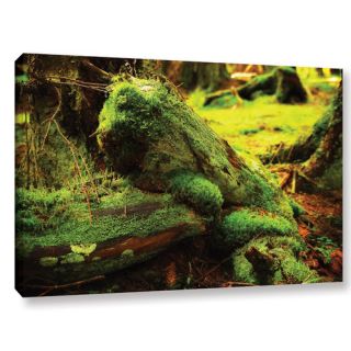 ArtWall Into The Greens by Dragos Dumitrascu Photographic Print on
