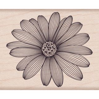 Hero Arts Mounted Rubber Stamps 4X1 Etched Daisy  