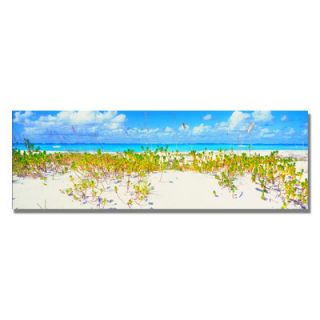 Trademark Fine Art Turks Beach by Preston Wrapped Photographic Print