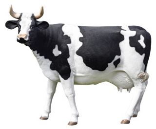 Design Toscano The Grand Scale Wildlife Animal Collection   Holstein Cow Statue   Garden Statues