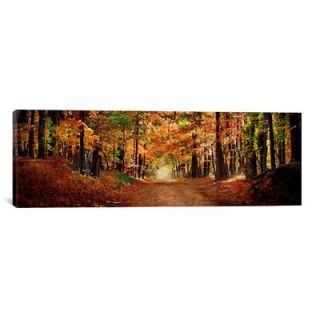 Panoramic Horse Running Across Road Photographic Print on Canvas by