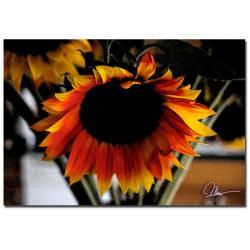 Martha Guerra Sunflower Bloom Canvas Art  ™ Shopping
