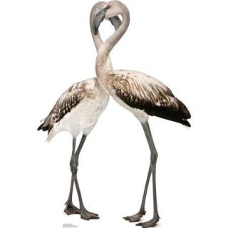 Advanced Graphics Flamingos   Love Birds Cardboard Stand Up