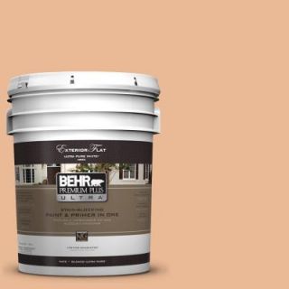 BEHR Premium Plus Ultra 5 gal. #280C 3 Fresh Praline Flat Exterior Paint 485405