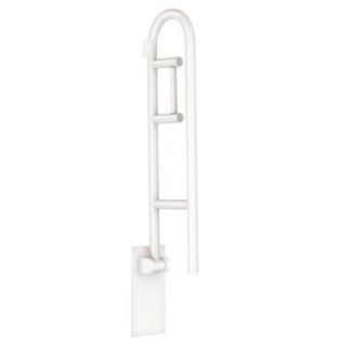 MOEN 30 in. x 1 1/4 in. Flip up Screw Grab Bar with Paper Holder in White R8962FDW