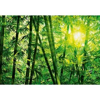 Ideal Decor 100 in. x 144 in. Bamboo Forest Wall Mural DM123