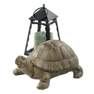 Design Toscano Aesops Turtle Cast Iron Statue   Garden Statues