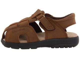 Salt Water Sandal by Hoy Shoes Sun San   Shark II (Toddler/Little Kid) Brown