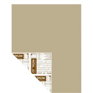 YOLO Colorhouse 12 in. x 16 in. Metal .02 Pre Painted Big Chip Sample 224629