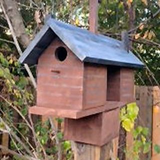Wilderness Series Products 19 in W x 18 in H x 8 in D Rust/Black Bird House