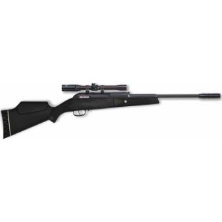Beeman Guardian .177 Air Rifle with 4x20mm Scope