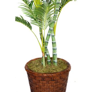 Tall Palm Tree in Planter by Laura Ashley Home