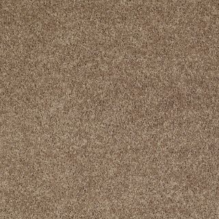 Shaw Stock Putty Textured Indoor Carpet