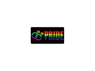 Male Pride Photo License Plate