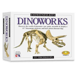 Skullduggery Eyewitness Dinoworks Triceratops Skeleton Casting Kit