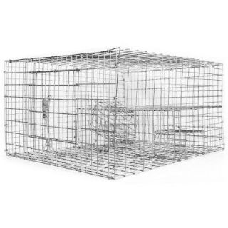 Bird B Gone 8 in. x 12 in. x 16 in. Sparrow Trap with 2 Chambers BMP SP2C