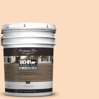 BEHR Premium Plus Ultra 5 gal. #M230 3 Mystic Opal Flat Exterior Paint 485005