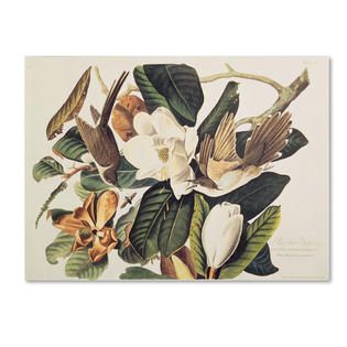 Trademark Fine Art John James Audubon Black Billed Cuckoo Canvas Art