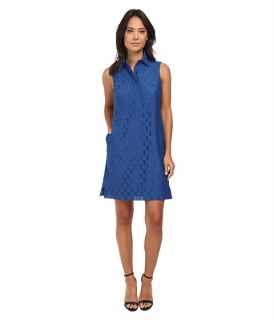 adrianna papell dot lace collared shirtdress