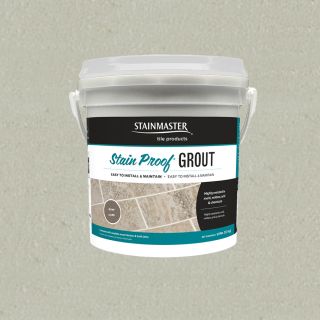 STAINMASTER Classic Collection Silver Epoxy Grout