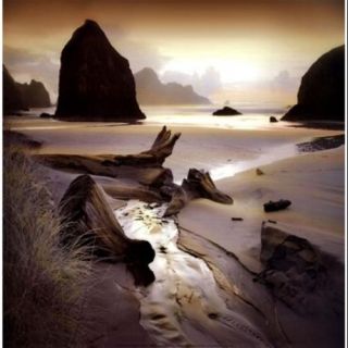 She Sleeps In The Sand Poster Print by William Vanscoy (12 x 12)