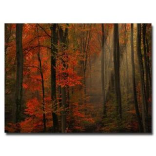Trademark Fine Art 22 in. x 32 in. Poetry of Colors Canvas Art DISCONTINUED PSL098 C2232GG