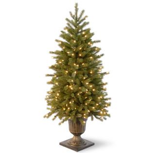 National Tree Company 4 ft. FEEL REAL® Jersey Fraser Fir Entrance