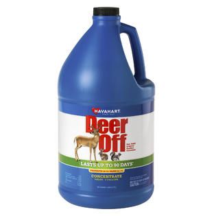 Havahart Deer Off Deer & Squirrel Repellent Concentrate   Outdoor