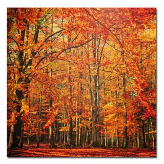 Large Philippe Sainte Laudy Red November Canvas Art