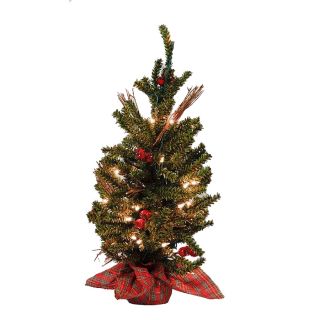 Holiday Living 2 ft Indoor Pine Pre Lit Artificial Christmas Tree with Clear Incandescent Lights