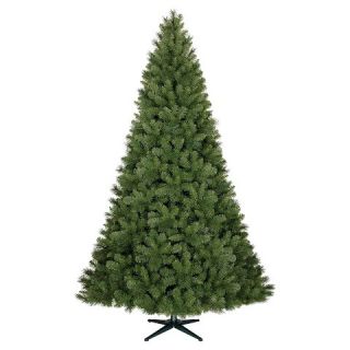 Douglas Fir 7.5 ft. Unlit Tree