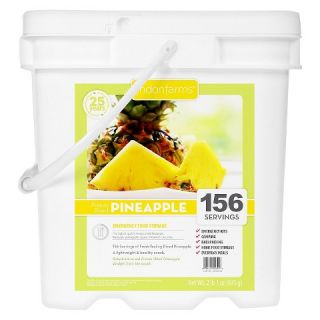 Lindon Farms Emergency Food 156 Serving Freeze Dried Pineapple Food