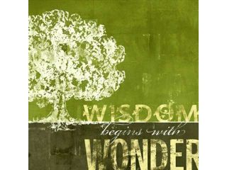 Wisdom Begins with Wonder Poster Print by CJ Elliott (24 x 24)