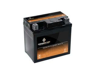 YTX5L BS ATV Battery for Suzuki 80cc LT80 QuadSport 80 1989