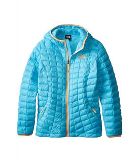 The North Face Kids Thermoball Hoodie Little Kids Big Kids Fortuna Blue