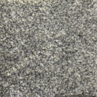 Looptex Mills Barely Rustic Gray Cut Pile Indoor Carpet