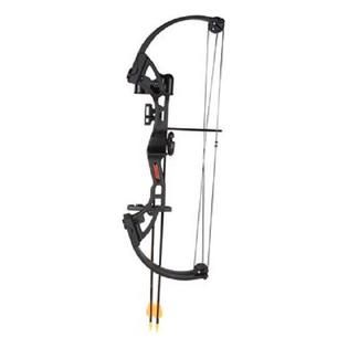 Bear Archery Brave Black RH Bow Set AYS300BR