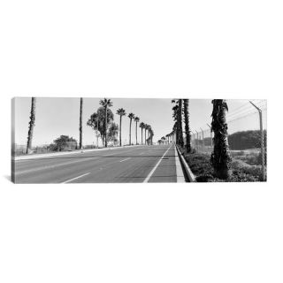 iCanvas Panoramic Palm Trees Along a Road, San Diego, California, USA