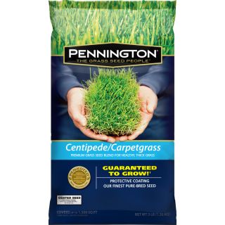 Pennington Premium 3 lb Carpetgrass Seed