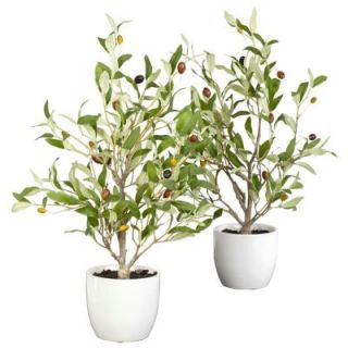 18 in. H Green Olive Silk Tree with Vase (Set of 2) 4774 S2